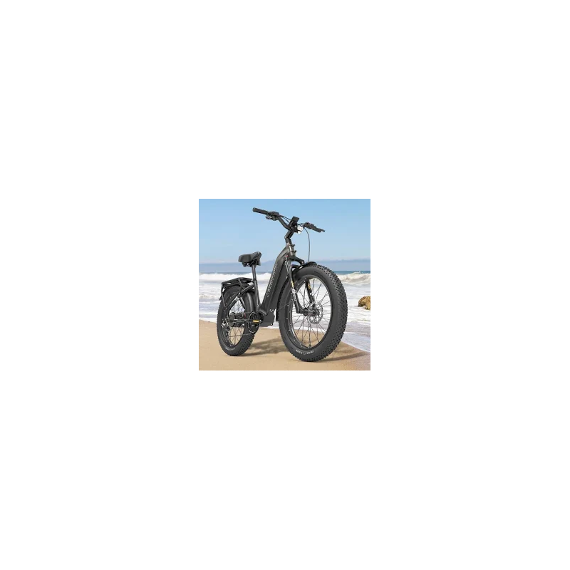 Vélo Urban Prenium