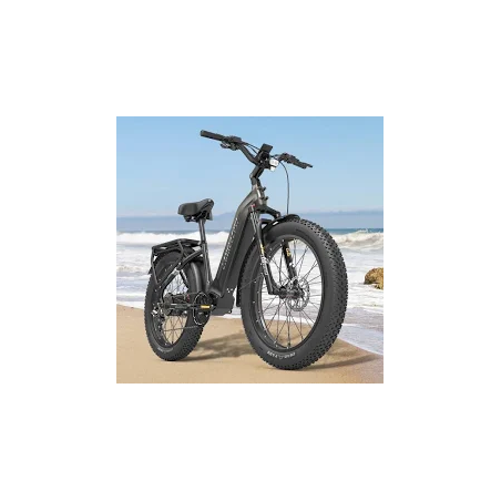 Vélo Urban Prenium